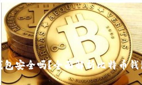 比特币存钱包安全吗？全面解析比特币钱包的安全性