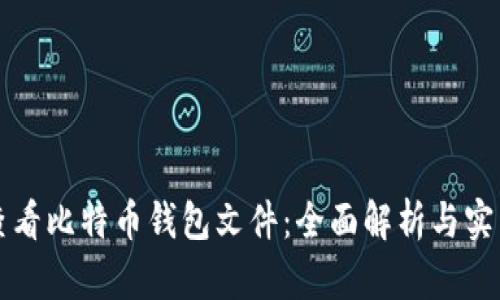 如何查看比特币钱包文件：全面解析与实用指南