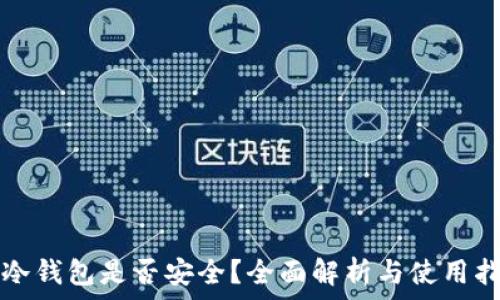   
TP冷钱包是否安全？全面解析与使用指南