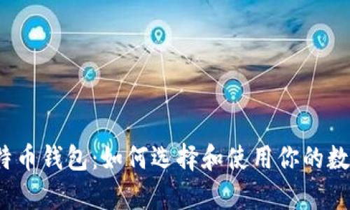 全面解析比特币钱包：如何选择和使用你的数字货币资产？