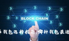 比特币钱包选择指南：哪