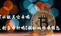 比特币钱包可以放其它币