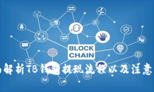 全面解析TB钱包提现流程以及注意事项