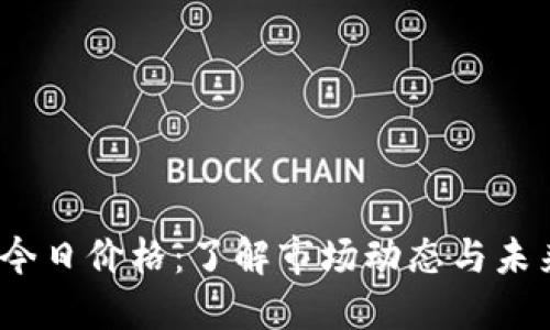 TPT币今日价格：了解市场动态与未来趋势