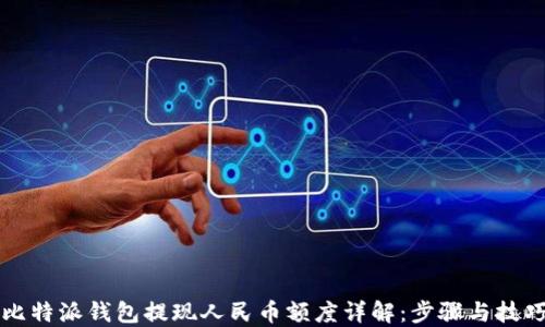 
比特派钱包提现人民币额度详解：步骤与技巧