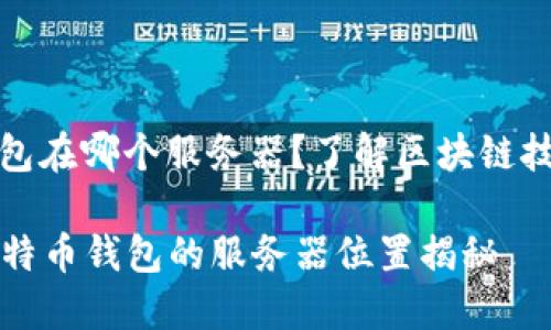 比特币钱包在哪个服务器？了解区块链技术的基础

### 比特币钱包的服务器位置揭秘