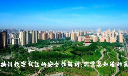 区块链数字钱包的安全性解析：你需要知道的真相