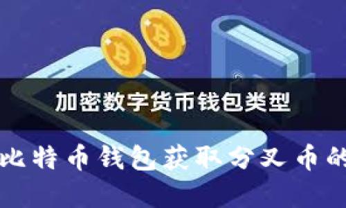 如何通过比特币钱包获取分叉币的完整指南