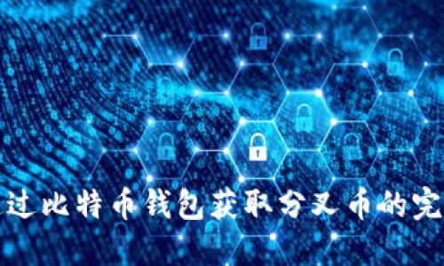 如何通过比特币钱包获取分叉币的完整指南