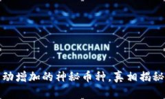 TP钱包中自动增加的神秘币