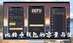 :  如何提升比特币钱包的容量与使用效率？