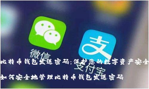 比特币钱包发送密码：保护您的数字资产安全

如何安全地管理比特币钱包发送密码