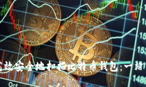 如何高效安全地扫描比特币钱包：一站式指南