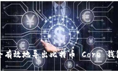 如何安全有效地导出比特币 Core 钱包的私钥