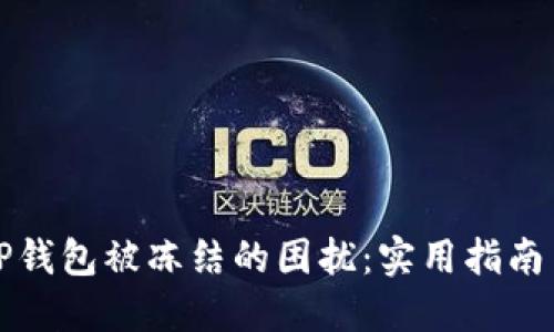 如何解决TP钱包被冻结的困扰：实用指南与问题解答