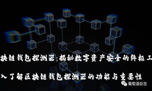 区块链钱包探测器：揭秘数字资产安全的终极工具

深入了解区块链钱包探测器的功能与重要性