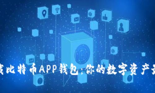 轻松下载比特币APP钱包：你的数字资产最佳管家