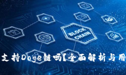 TP钱包支持Doge链吗？全面解析与用户指南