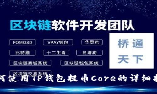 如何使用TP钱包提币Core的详细指南