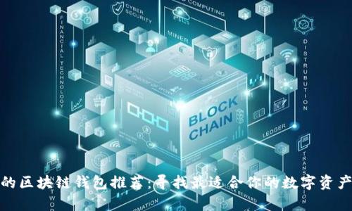 安全高效的区块链钱包推荐：寻找最适合你的数字资产存储方案