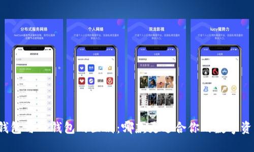 比特派钱包与TP钱包的区别：哪款更适合你的数字资产管理?