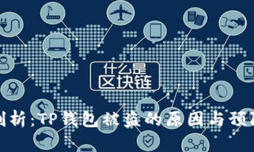 深入剖析：TP钱包被盗的原因与预防措施