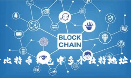 : 探索比特币钱包中多个独特地址的奥秘