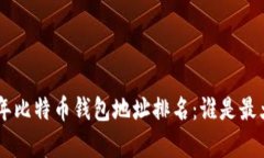 ## 2023年比特币钱包地址排
