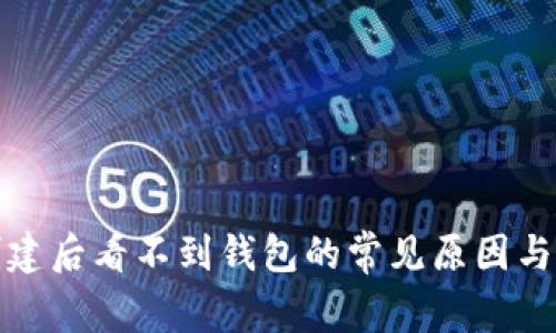 TP钱包创建后看不到钱包的常见原因与解决方案