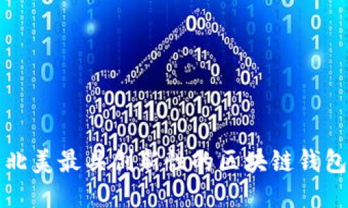 探索北美最具创新性的区块链钱包公司