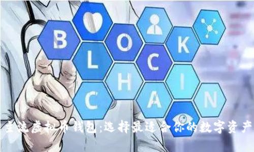 全面解析主流虚拟币钱包：选择最适合你的数字资产安全方案