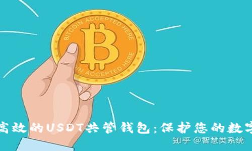 安全高效的USDT共管钱包：保护您的数字资产