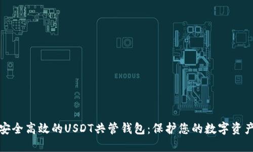 安全高效的USDT共管钱包：保护您的数字资产