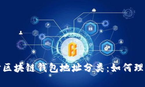 深入探讨区块链钱包地址分类：如何理解与选择