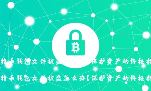 比特币钱包文件被盗怎么办？保护资产的终极指南

比特币钱包文件被盗怎么办？保护资产的终极指南