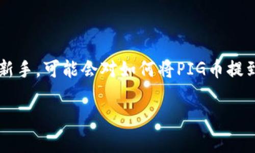 在数字货币的世界中，将资金从一个平台转移到另一个平台的过程中，了解每一步的细节至关重要。如果你是个新手，可能会对如何将PIG币提到TP钱包感到困惑。今天，我们就详细探讨这一过程，包括必要的步骤和一些常见问题，帮助你在交易中更加顺利。

如何轻松将PIG币提币到TP钱包