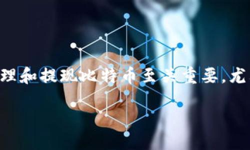 引言

在现代数字货币的浪潮中，比特币作为最具价值和知名度的加密货币，引来了成千上万的投资者关注和参与。对于这些用户来说，了解如何安全地管理和提现比特币至关重要。尤其是在提现过程中，冷钱包的使用成为保护资产安全的有效手段。接下来，我们将探讨“比特币提现冷钱包”的相关知识，帮助您更好地理解这一过程。

如何安全高效地提现比特币到冷钱包？