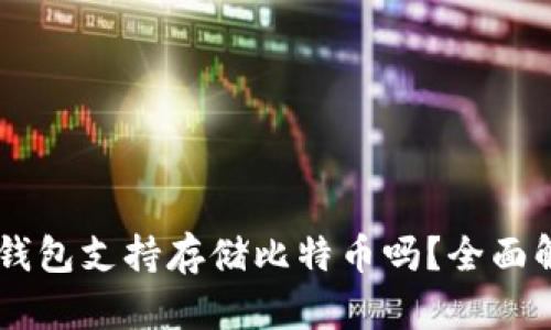 im钱包支持存储比特币吗？全面解析
