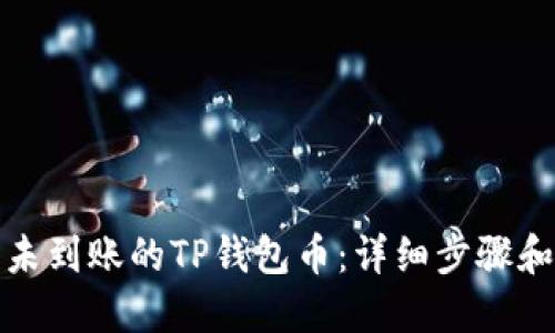 如何找回未到账的TP钱包币：详细步骤和实用技巧