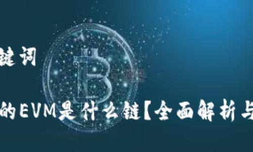 思考及关键词

TP钱包中的EVM是什么链？全面解析与应用指南