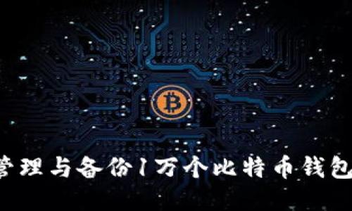 如何安全管理与备份1万个比特币钱包.dat文件？