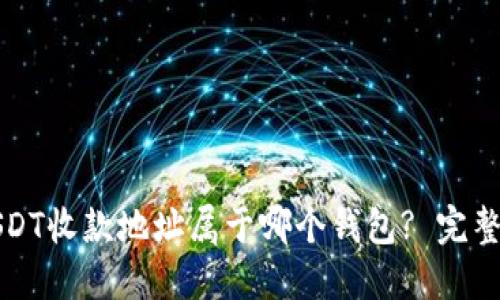 如何查询USDT收款地址属于哪个钱包? 完整指南与技巧