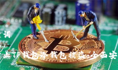 及关键词

如何防止TP钱包冷钱包被盗：全面安全指南