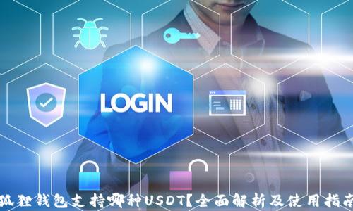 
狐狸钱包支持哪种USDT？全面解析及使用指南