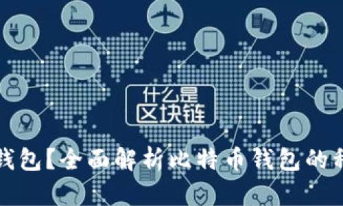 什么是比特币钱包？全面解析比特币钱包的种类与使用方法