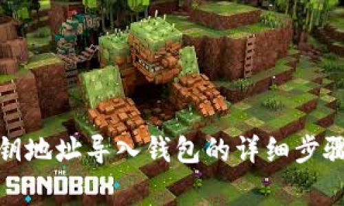 : 通过TP私钥地址导入钱包的详细步骤与注意事项