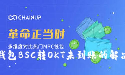 : TP钱包BSC转OKT未到账的解决方案