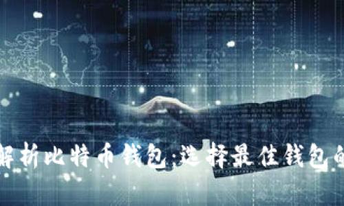 全面解析比特币钱包：选择最佳钱包的指南