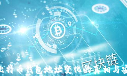 
baioti比特币钱包地址变化的真相与安全解析