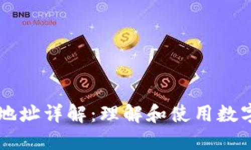 : USDT钱包地址详解：理解和使用数字货币的基础